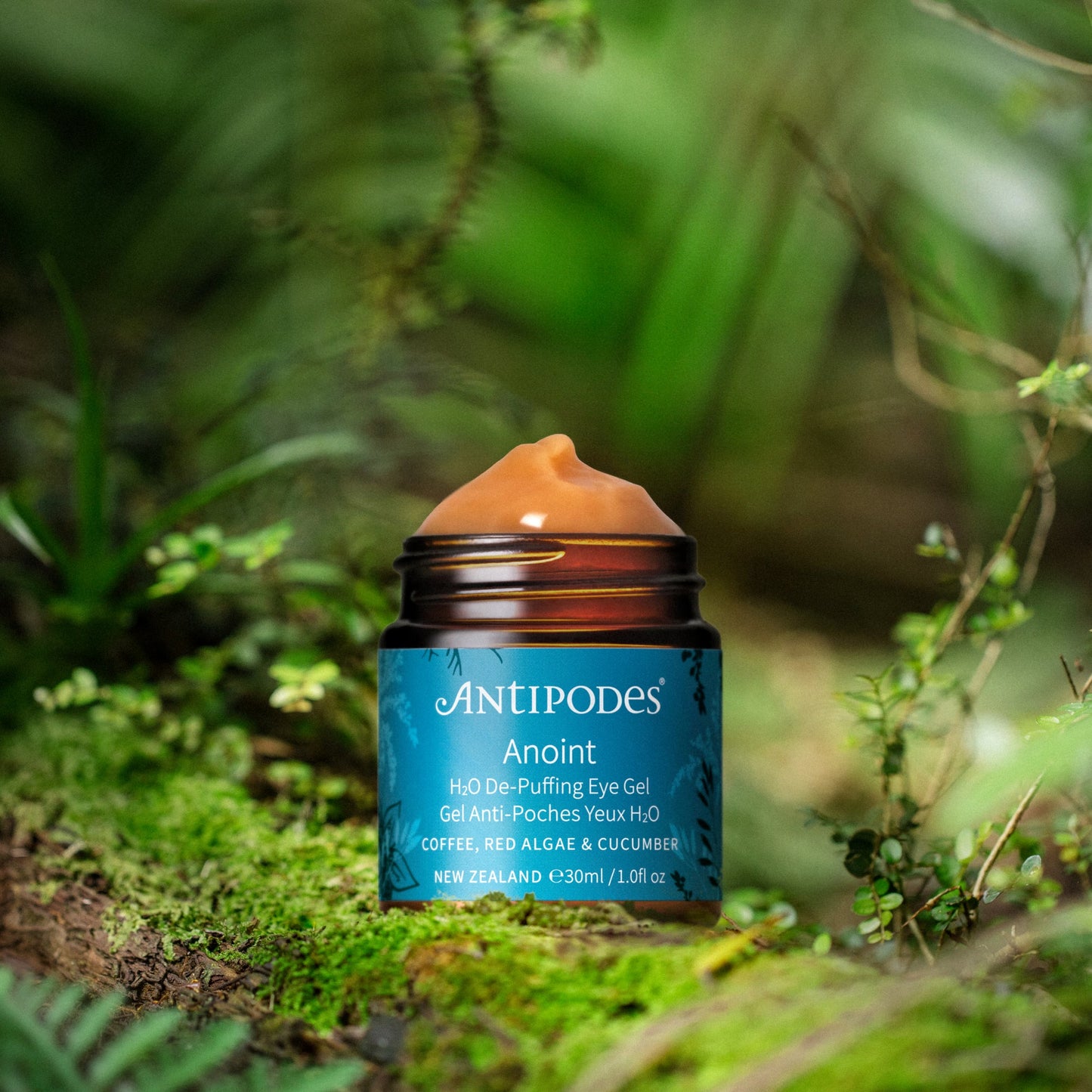 Gel contour des yeux Anoint d'Antipodes posé dans un décor naturel de mousse et de plantes