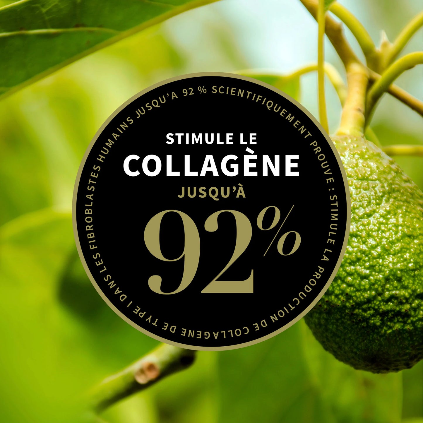 Résultats visibles, scientifiquement prouvés de la Crème de nuit booster de collagène Avocado Pear d'Antipodes