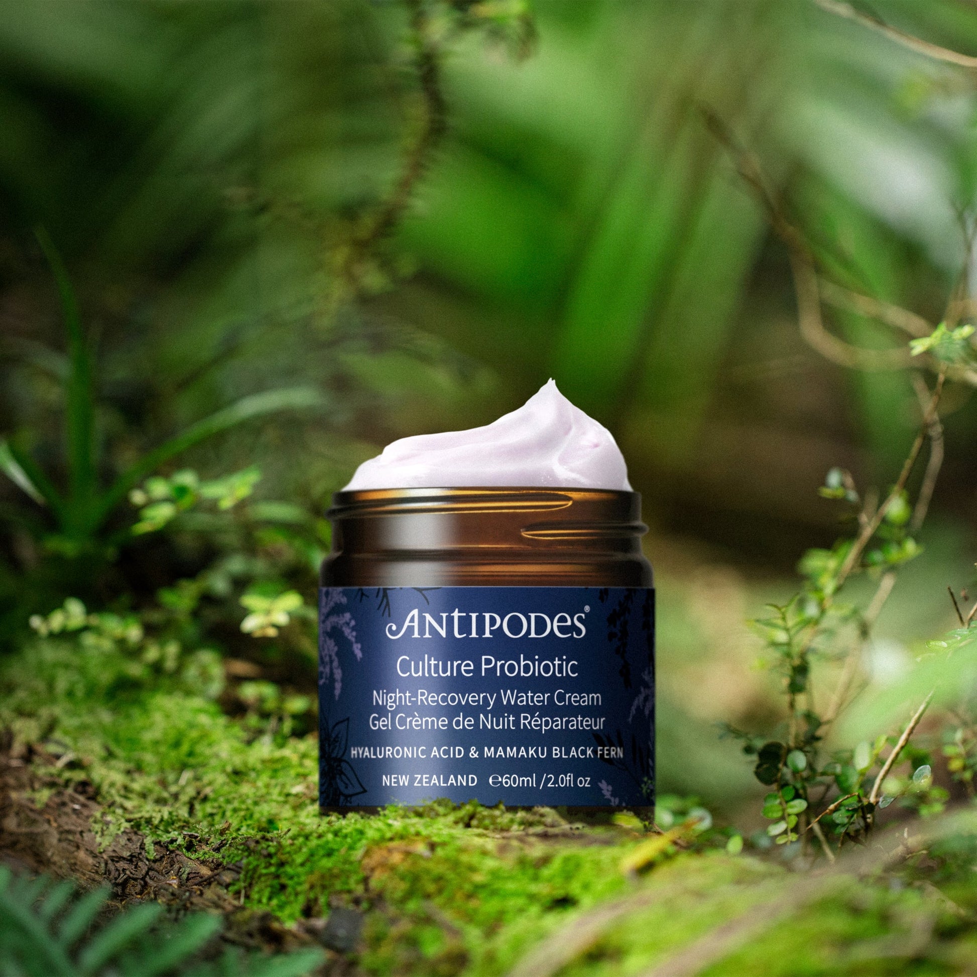 Photo d'ambiance, nature et pot en verre de Culture, gel crème de nuit réparateur Antipodes