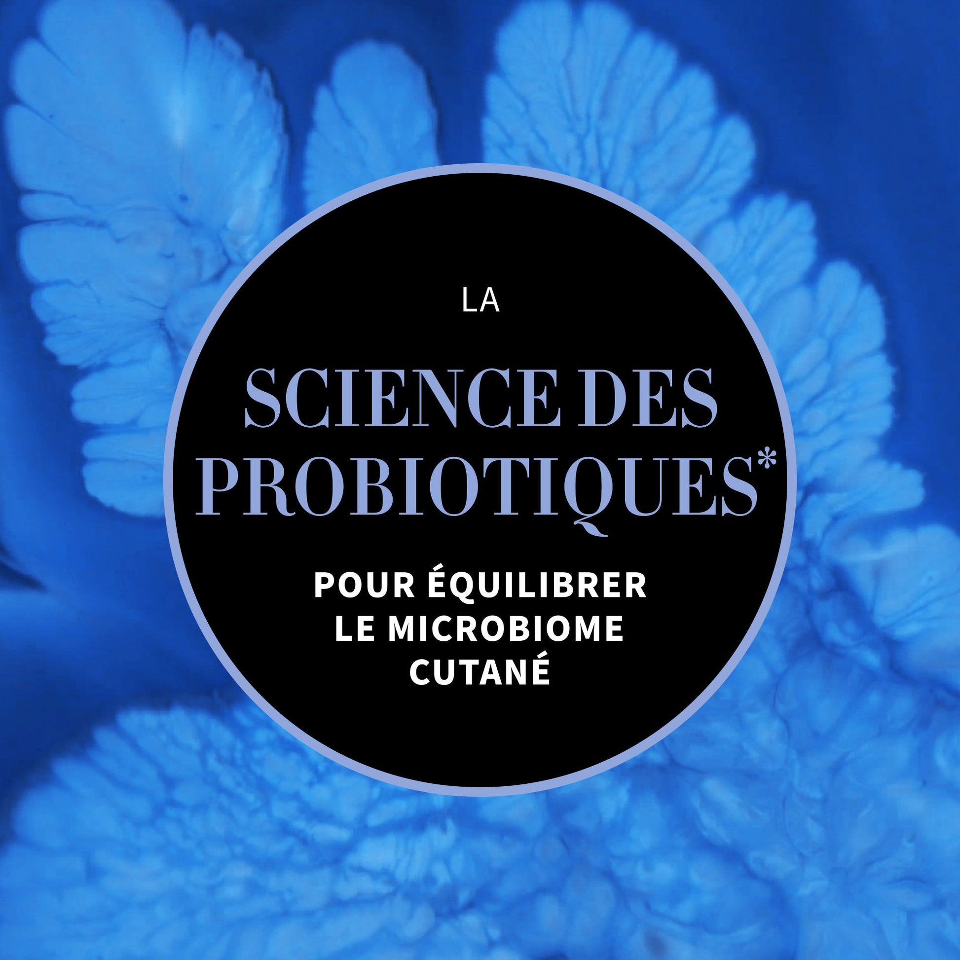 Visuel la science des probiotiques pour équilibrer le microbiome cutané. Gel crème de nuit Antipodes