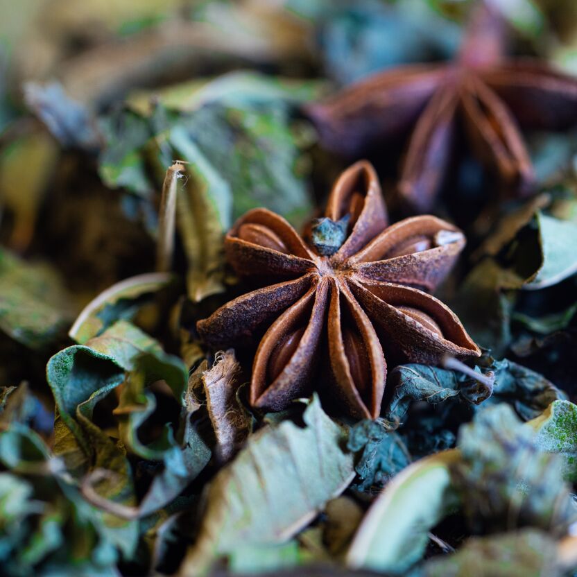 Badiane anis étoilée et plantes séchées, tisanes, infusions bio et naturelles