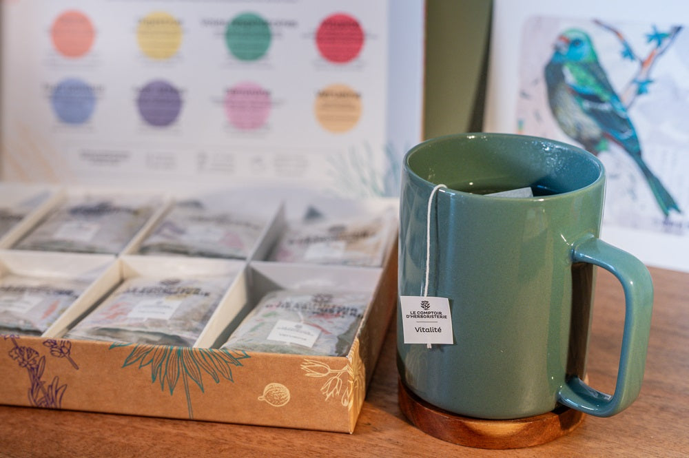 Ambiance bien-être avec un coffret ouvert avec des infusions de plantes, une tasse avec une tisane en sachet vitalité du Comptoir de l'Herboristerie et une peinture d'un oiseau, posés sur une étagère en bois