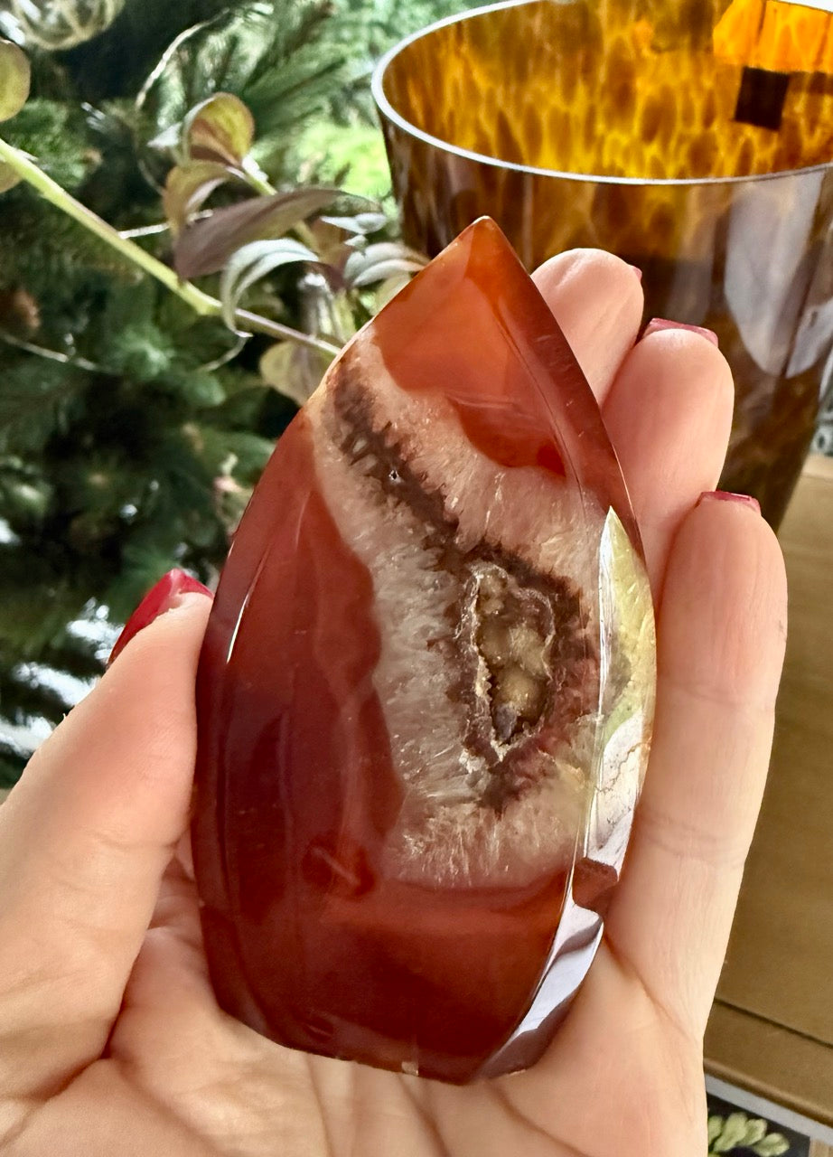 Main de femme tenant une tranche de cornaline rouge brun orangé, inclusion de cristaux, arrière plan plantes et vase brun