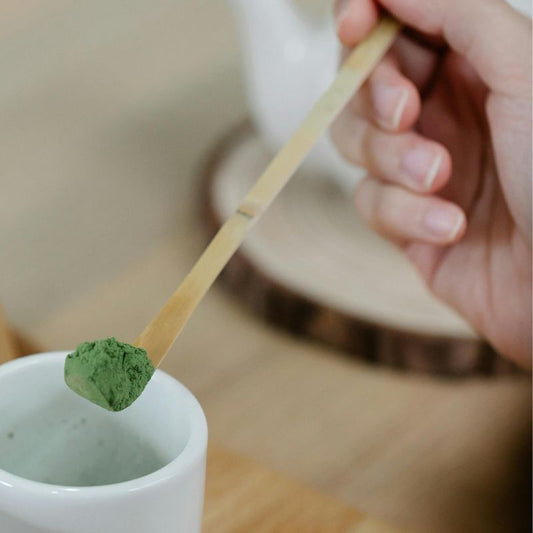 Main tenant un chashaku, cuillère doseuse pour matcha en bambou , poudre verte de matcha au dessus d'une tasse blanche