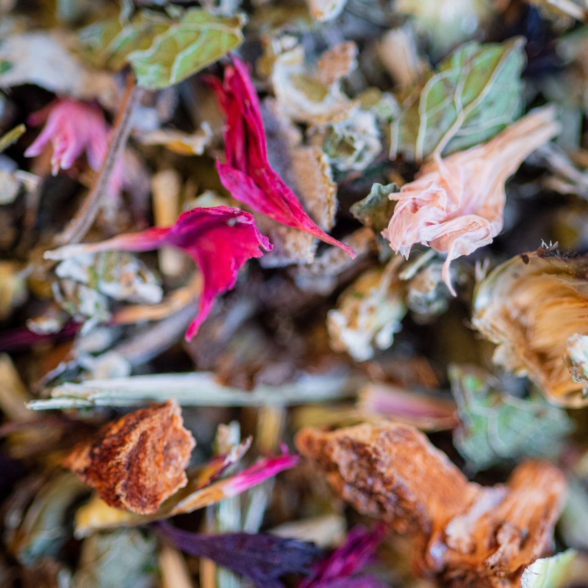 Mélange de plantes séchées bio tisane féminine framboisier achillée sauge bleuet vue macro, framboisier