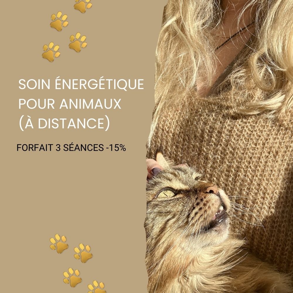 Visuel du forfait 3 séances de soins énergétiques pour animaux avec une photo de femme tenant dans ses bras un chat de race maincoon