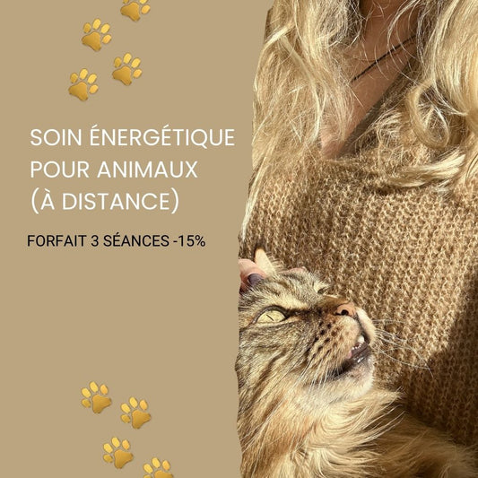 Visuel du forfait 3 séances de soins énergétiques pour animaux avec une photo de femme tenant dans ses bras un chat de race maincoon