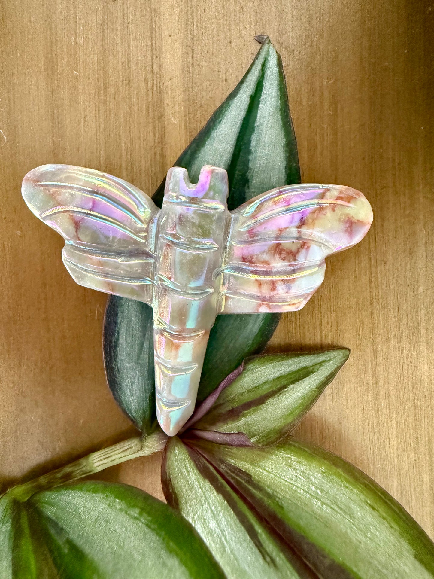 Libellule en quartz angel aura posée sur feuilles vertes, pierre énergétique irisée symbole de liberté légèreté et transformation