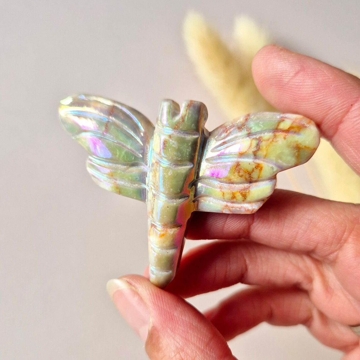 Libellule en quart angel aura, dans une main, sur fond beige et herbes séchées