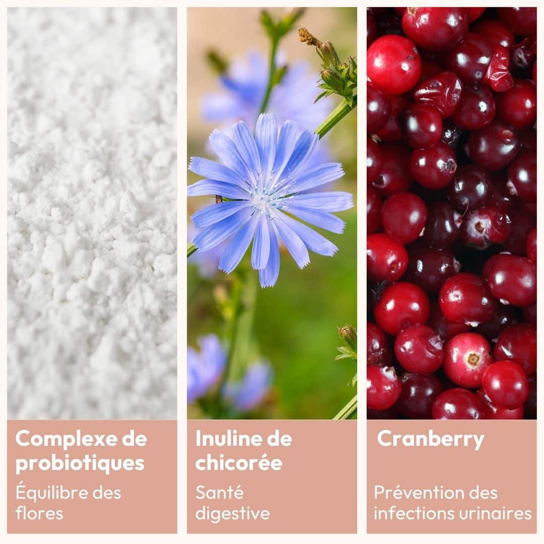 [MY] ESSENTIELS FLORE INTIME ET INTESTINALE - MiYé