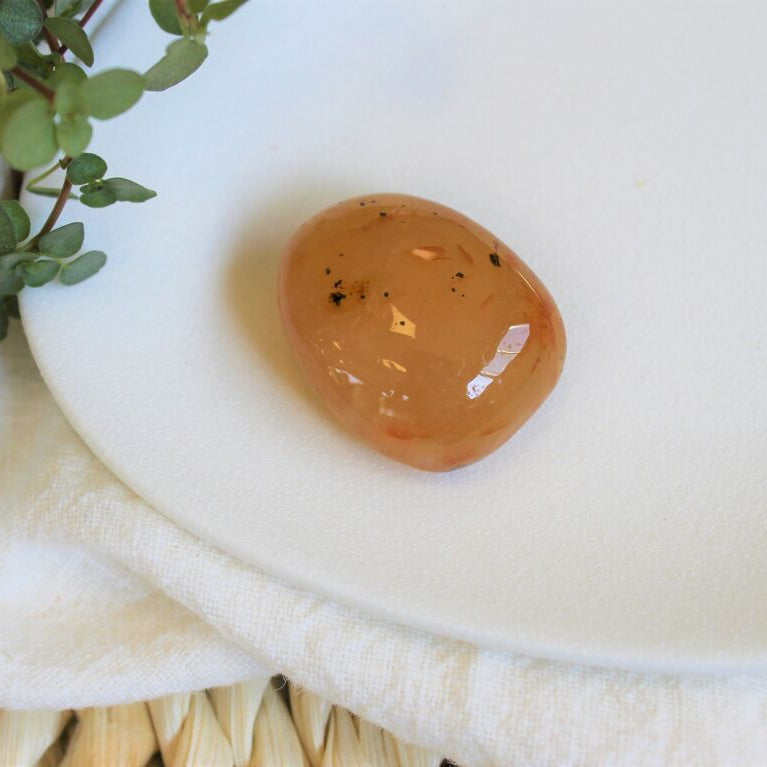 Pierre roulée en cornaline naturelle sur fond blanc avec des plantes vertes