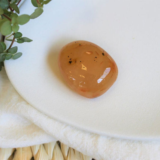 Pierre roulée en cornaline naturelle sur fond blanc avec des plantes vertes