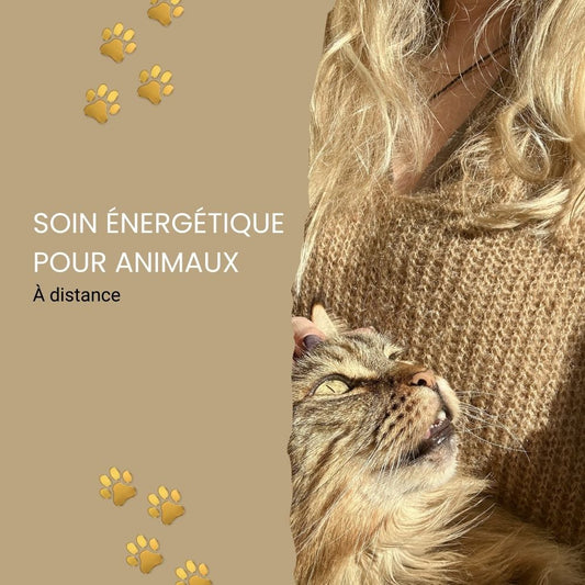 Visuel de soin énergétique pour animaux à distance avec fond beige et pattes de chat dorées, photo de femme blonde tenant dans ses bras un chat type maincoom